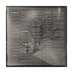 Black Tongue Vinyl LP - PRE-ORDER